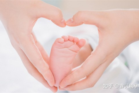 http://quanzhou.51dzb.net/post/188.html|泉州新闻中心